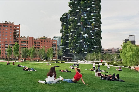 Lomography ISO100 135 Color Negative Film 3 Rolls