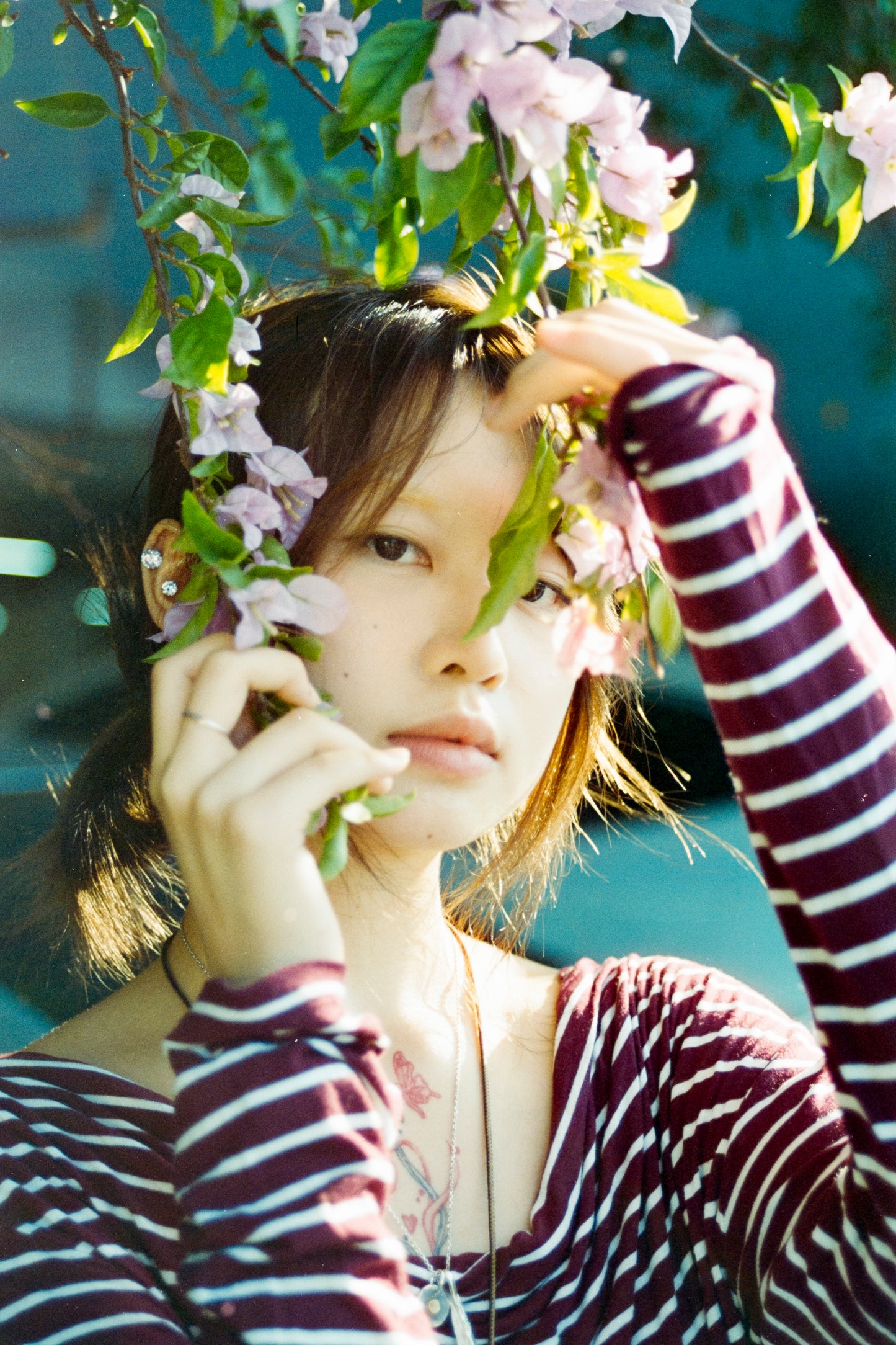 Retocolor Amber D100 135 Color Negative Cine Film 27EXP