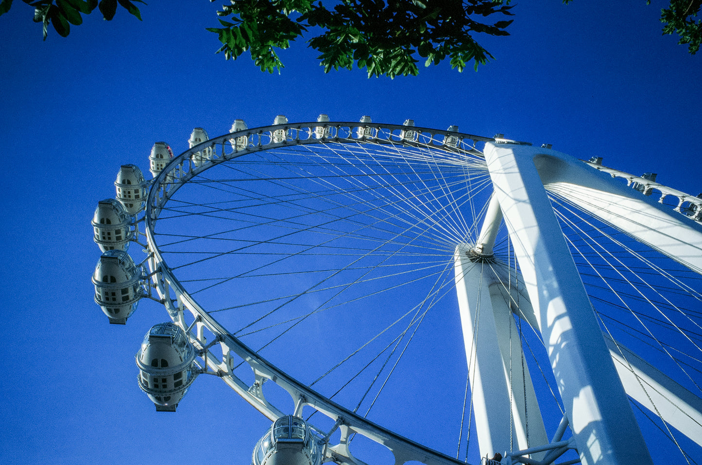 Kodak Ektachrome E100 135-36