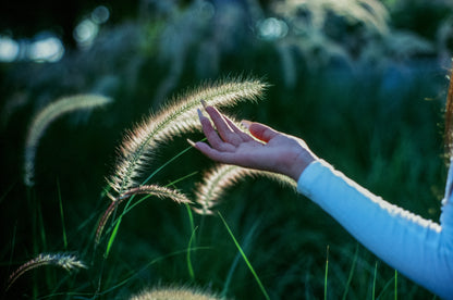 Kodak Ektachrome E100 135-36