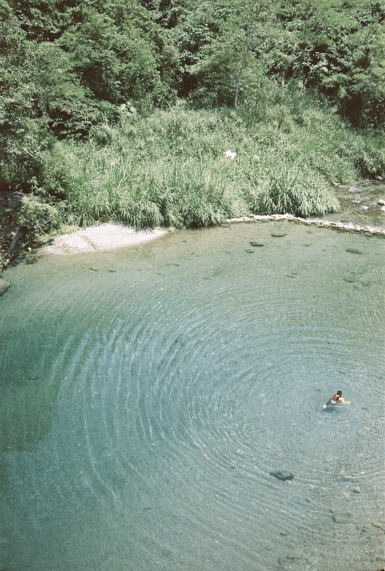 Retocolor Aqua 400 135 Color Negative Film 27EXP