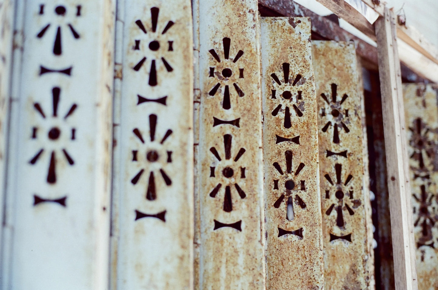 Retocolor Amber T200 135 Color Negative Cine Film 27EXP