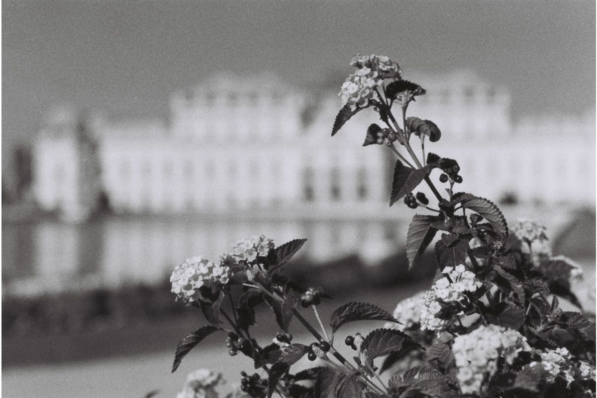 Lomography Berlin Kino ISO 400 135 B&W Film