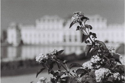 Lomography Berlin Kino ISO 400 135 B&W Film