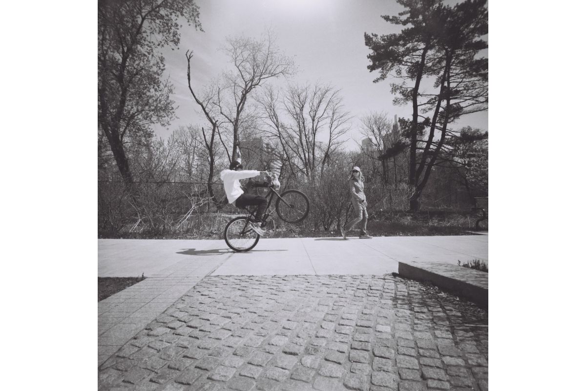 Lomography Lady Grey ISO400 120 B&W Film 3 Rolls