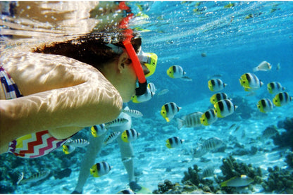 Lomography ISO100 135 Color Negative Film 3 Rolls