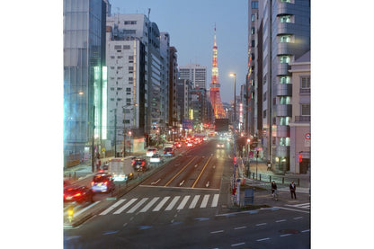 Lomography ISO800 120 Color Negative Film