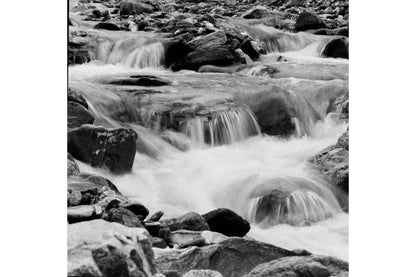 Lomography Lady Grey ISO400 120 B&W Film 3 Rolls