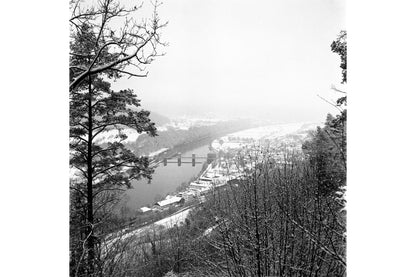 Lomography Lady Grey ISO400 120 B&W Film 3 Rolls