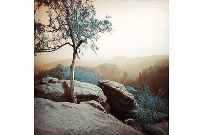 Lomography LomoChrome Turquoise ISO100-400 120 Color Negative Film