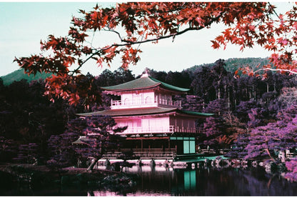 Lomography LomoChrome Purple ISO100–400 135 Color Negative Film