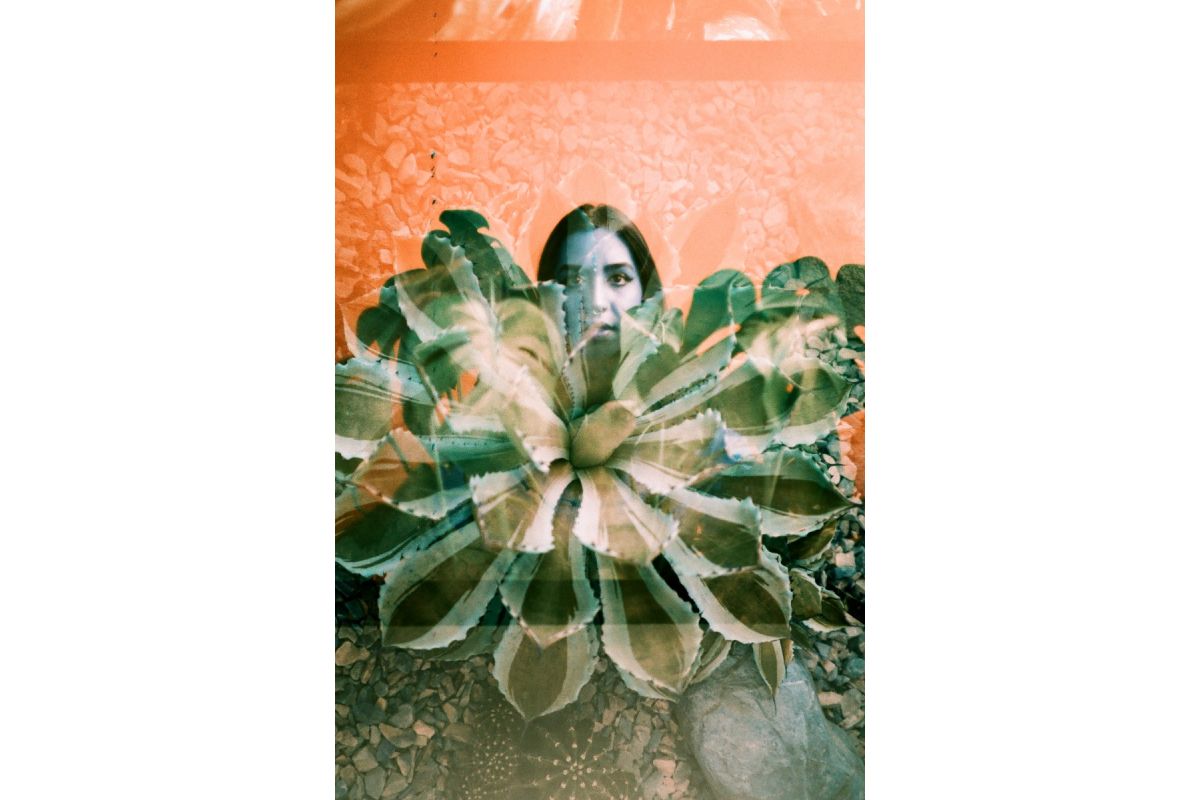 Lomography LomoChrome Turquoise ISO100-400 135 Color Negative Film