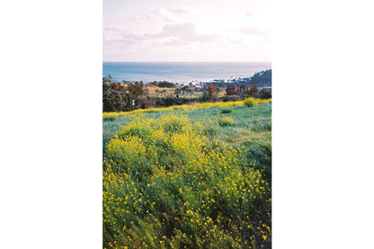 Lomography ISO400 135 Color Negative Film 3 Rolls