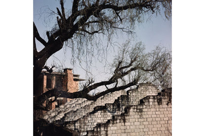 Lomography LomoChrome Metropolis ISO100-400 120 Color Negative Film