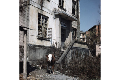 Lomography LomoChrome Metropolis ISO100-400 120 Color Negative Film