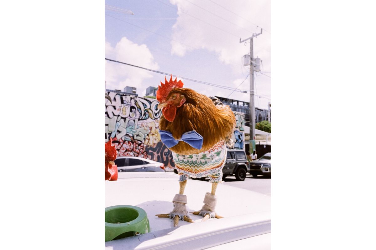 Lomography LomoChrome Metropolis ISO100-400 135 Color Negative Film