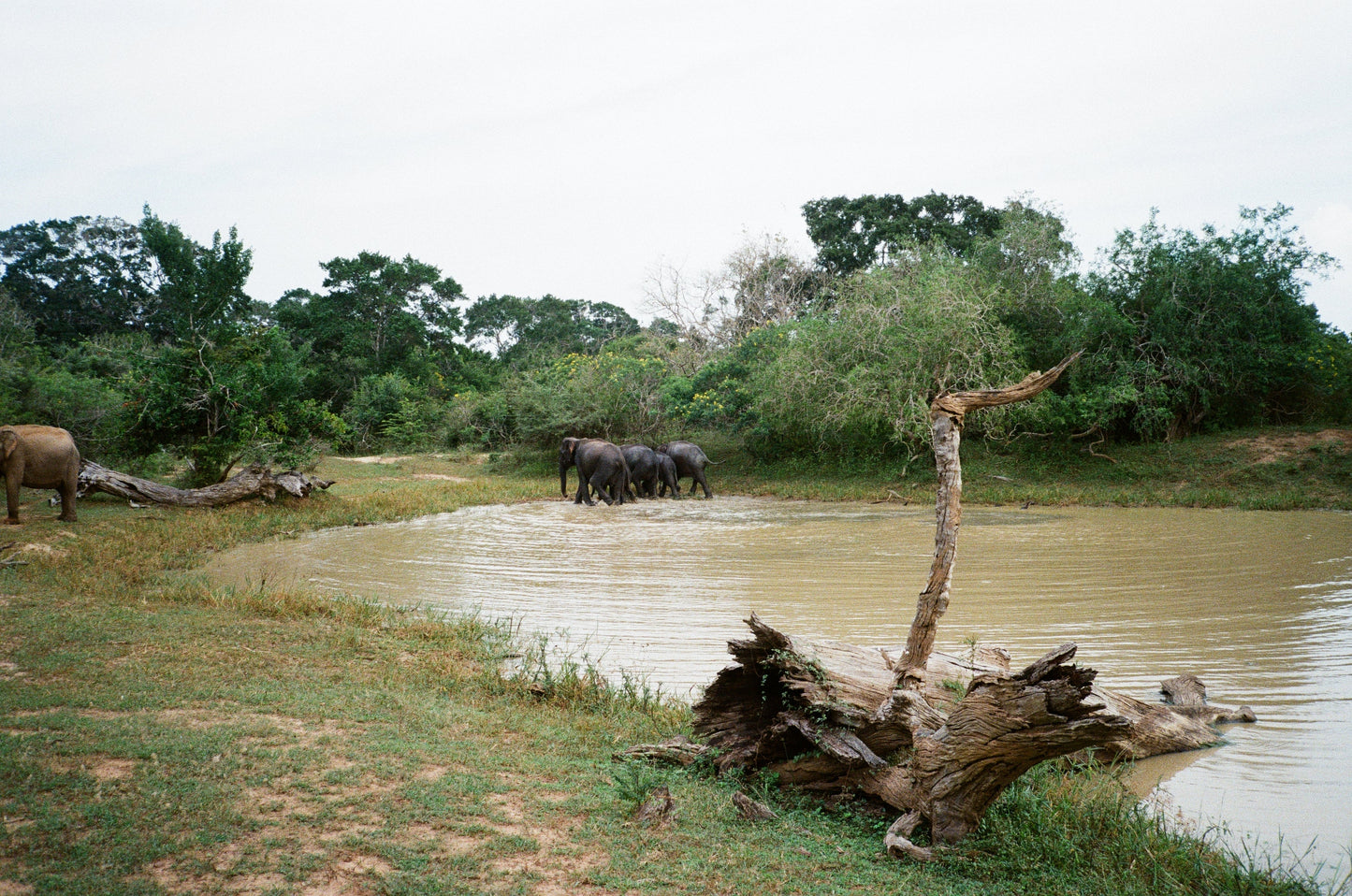 Retocolor Prism 200 135 Color Negative Film 36EXP