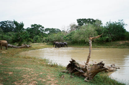 Retocolor Prism 200 135 Color Negative Film 36EXP