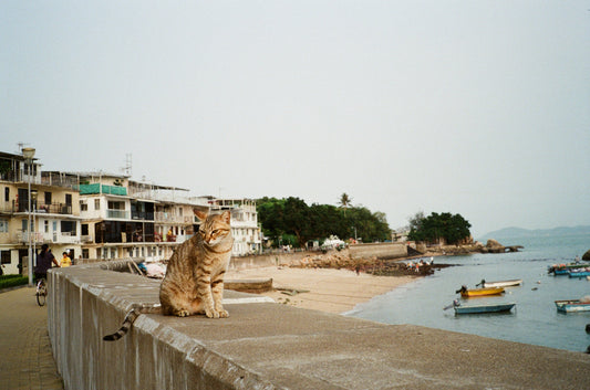 Retocolor Prism 200 135 Color Negative Film 36EXP