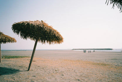 Retocolor Maple 100 135 Color Negative Film 27EXP